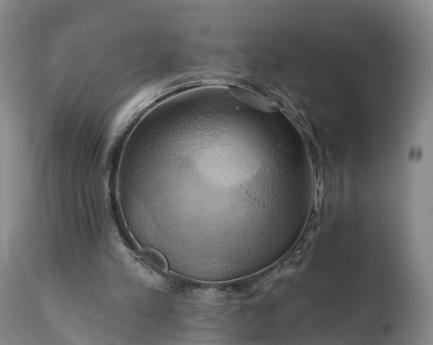 X0000111240197200907091408