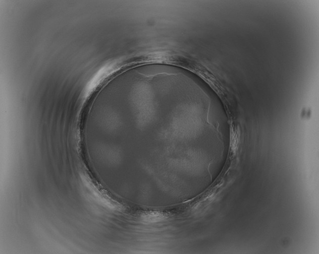 X0000111240198200907091408