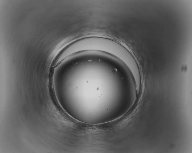 X0000111240199200907091408