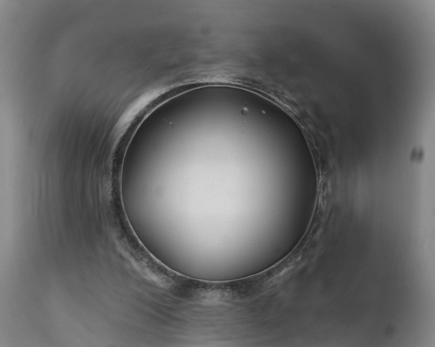 X0000111240200200907091408