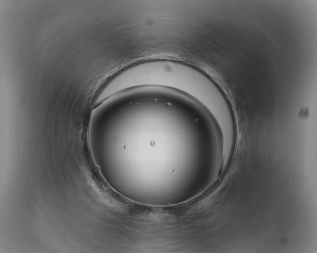 X0000111240201200907091408