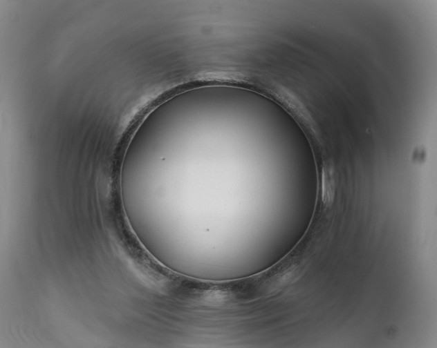 X0000111240204200907091408