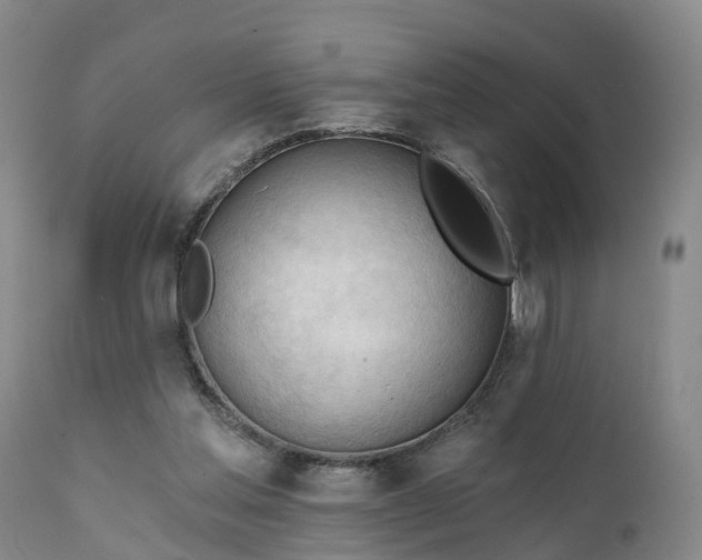 X0000111240205200907091408