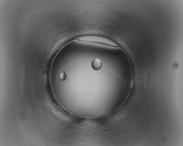 X0000111240207200907091407