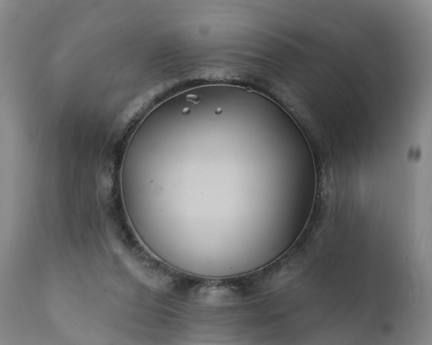 X0000111240208200907091407