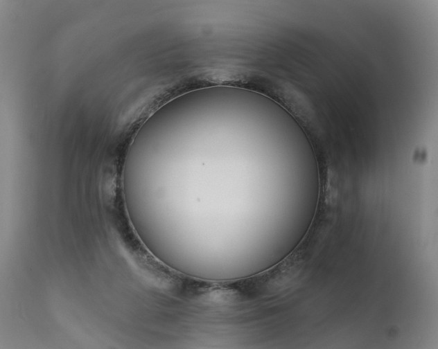 X0000111240210200907091407