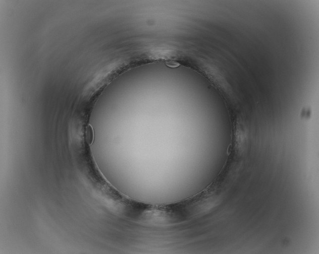 X0000111240211200907091407