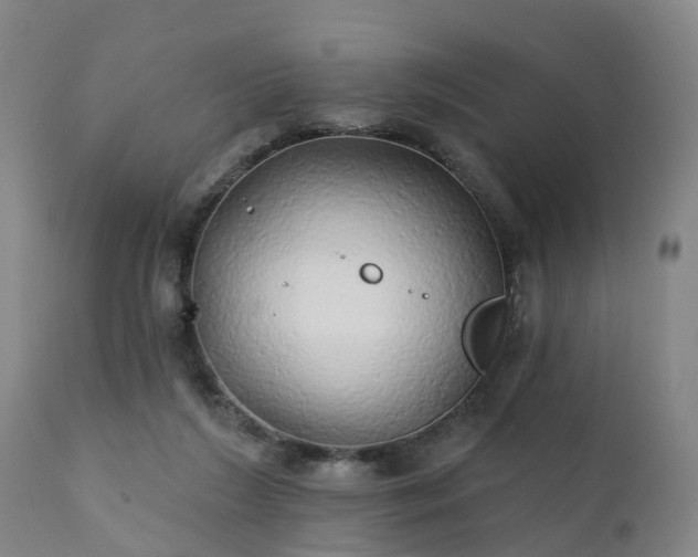 X0000111240212200907091407