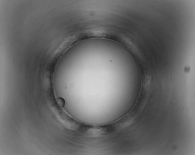 X0000111240213200907091407