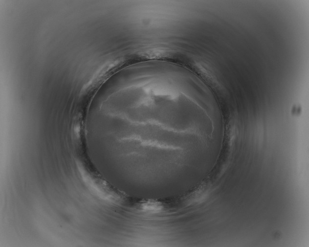 X0000111240214200907091407