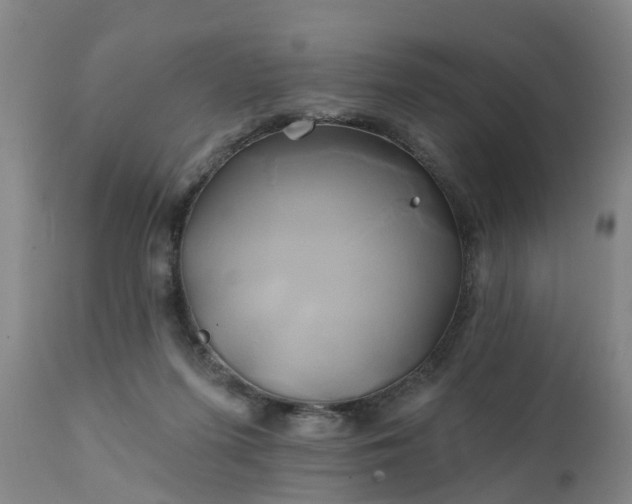 X0000111240215200907091407