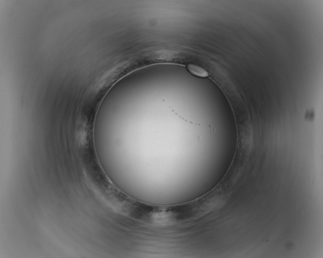 X0000111240216200907091407