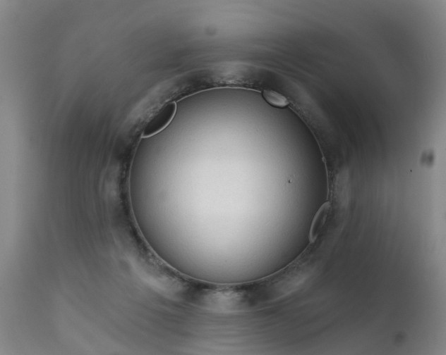 X0000111240217200907091407