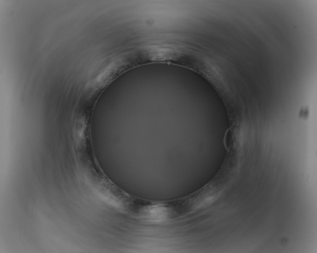 X0000111240219200907091407