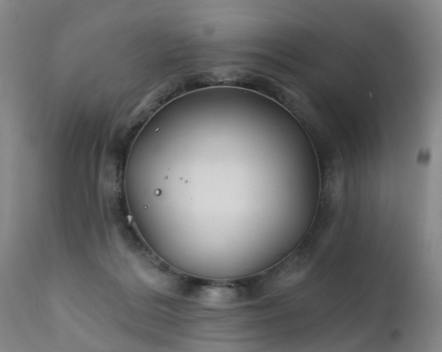 X0000111240220200907091407