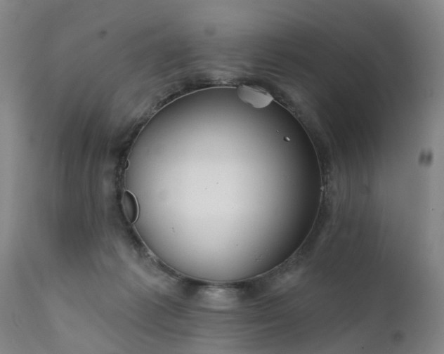 X0000111240221200907091407