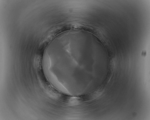 X0000111240222200907091407