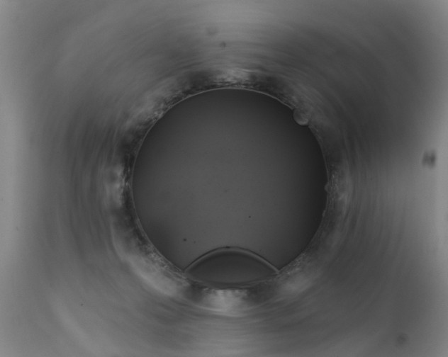 X0000111240223200907091407