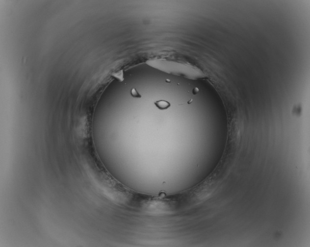 X0000111240224200907091407