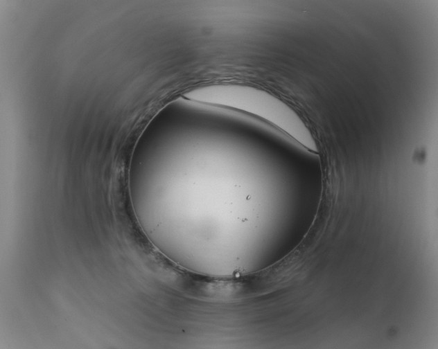 X0000111240225200907091407