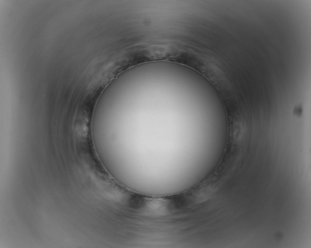 X0000111240226200907091407