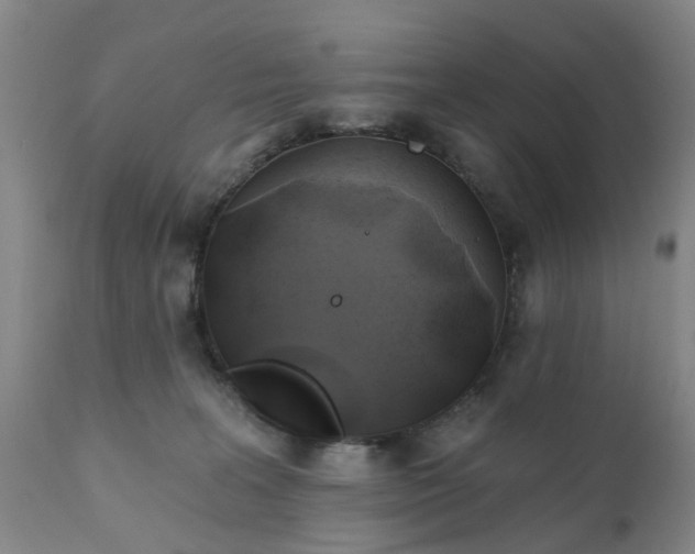 X0000111240227200907091407