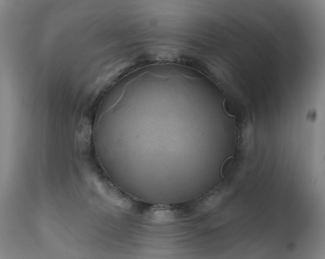 X0000111240228200907091407