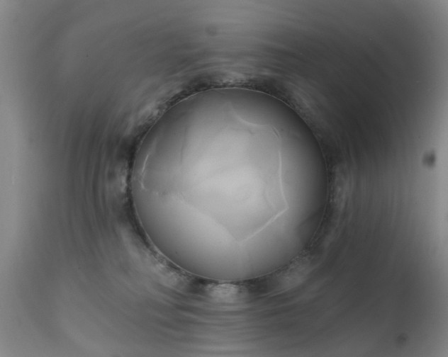 X0000111240230200907091407