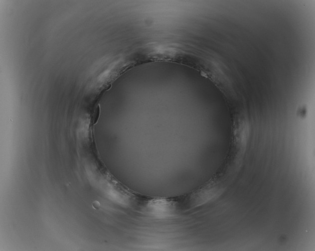 X0000111240231200907091407