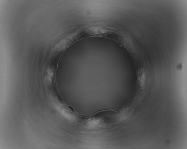 X0000111240235200907091407