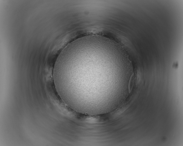 X0000111240236200907091407