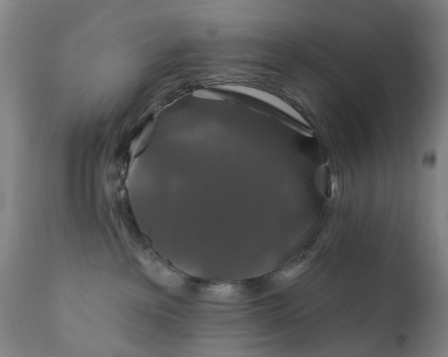 X0000111240237200907091407