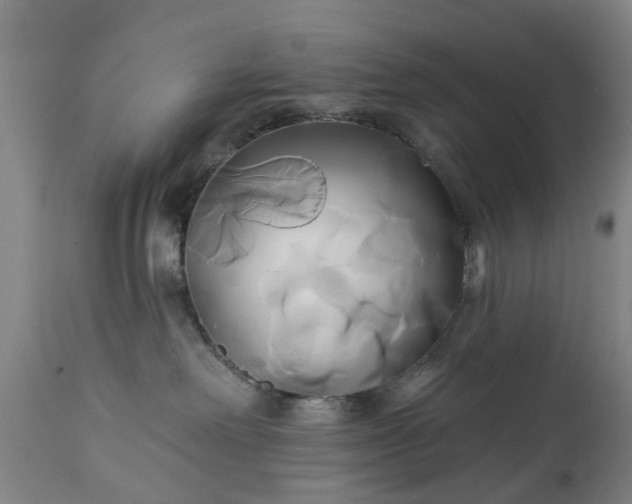 X0000111240238200907091407