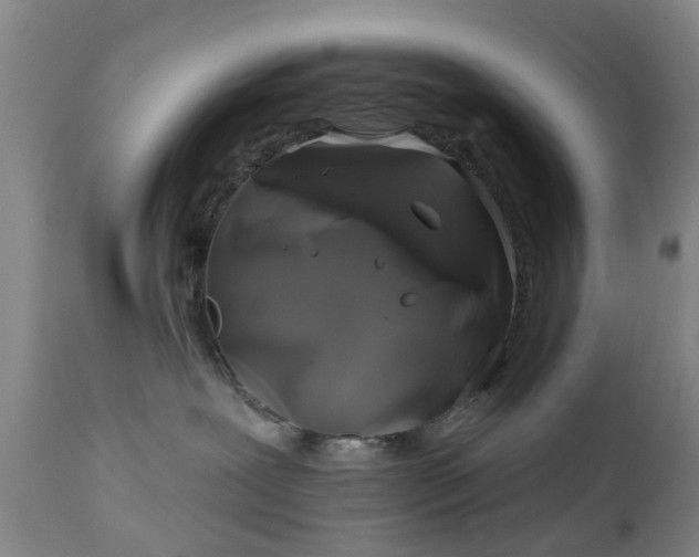 X0000111240239200907091407