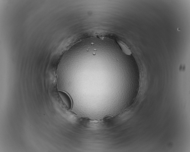 X0000111240240200907091407