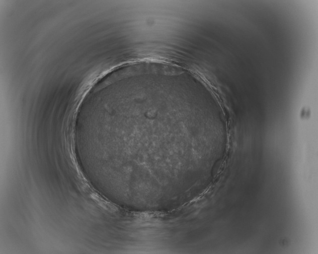 X0000111240241200907091406