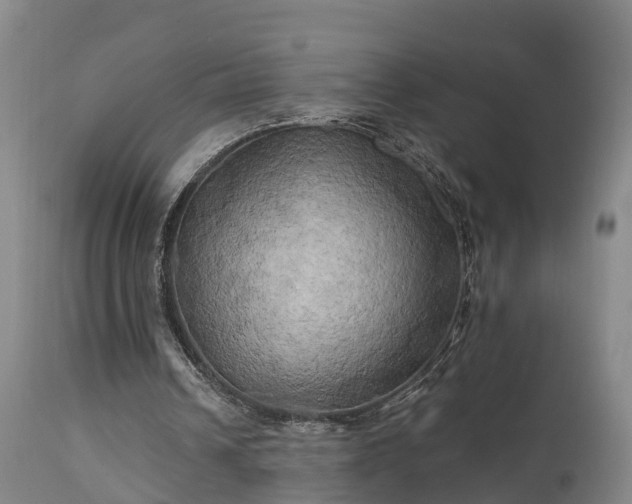 X0000111240242200907091406