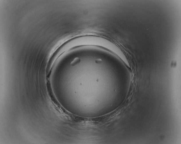 X0000111240244200907091406