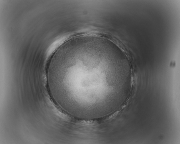 X0000111240245200907091406