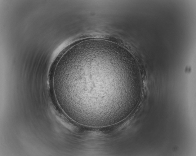 X0000111240246200907091406