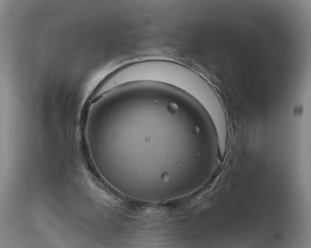 X0000111240248200907091406