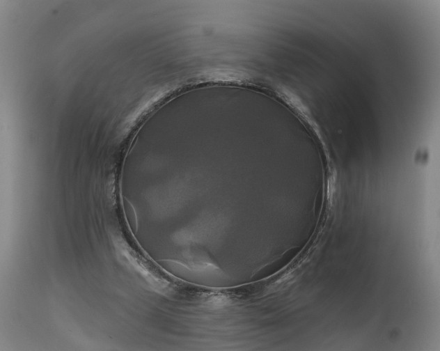 X0000111240249200907091406