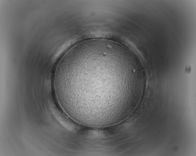 X0000111240250200907091406