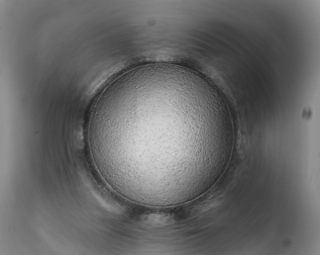 X0000111240251200907091406