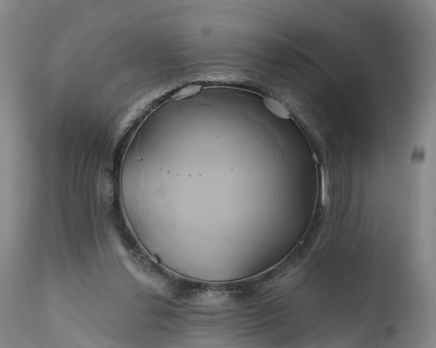 X0000111240252200907091406