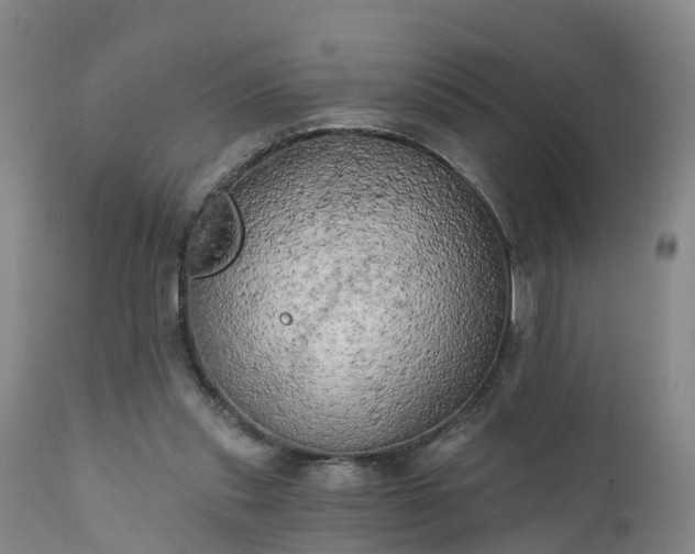 X0000111240253200907091406