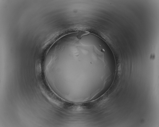 X0000111240254200907091406