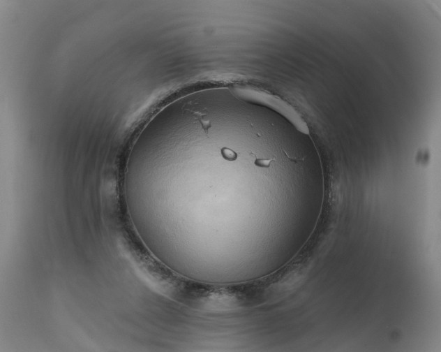 X0000111240256200907091406