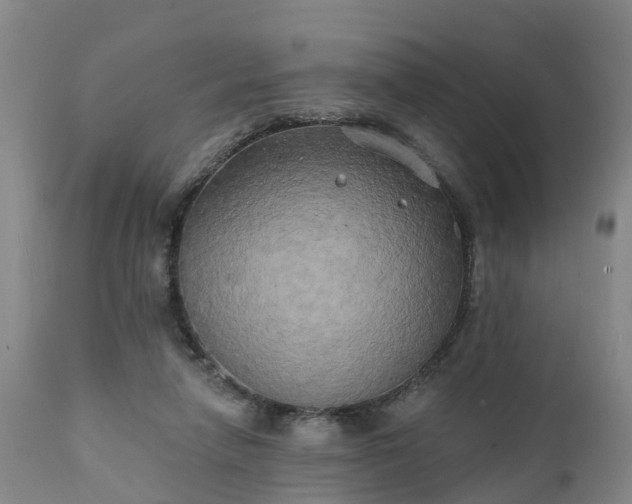 X0000111240258200907091406