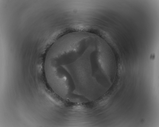 X0000111240259200907091406